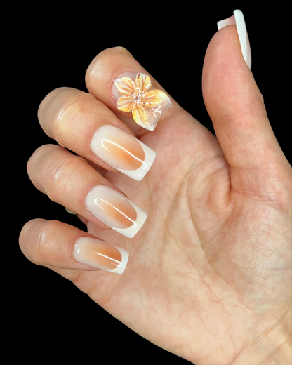 Faux ongles réutilisables “ SERAPHINE”