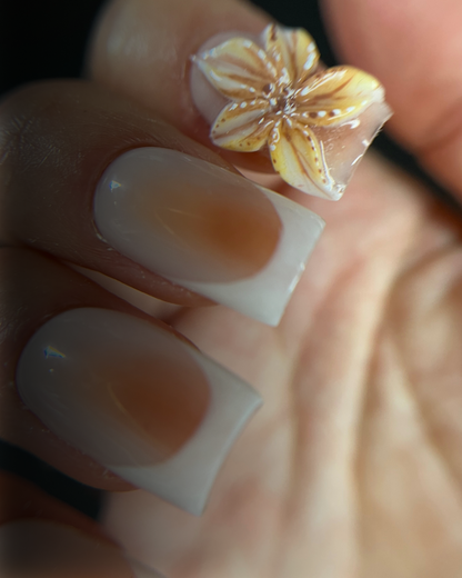 Faux ongles réutilisables “ SERAPHINE”