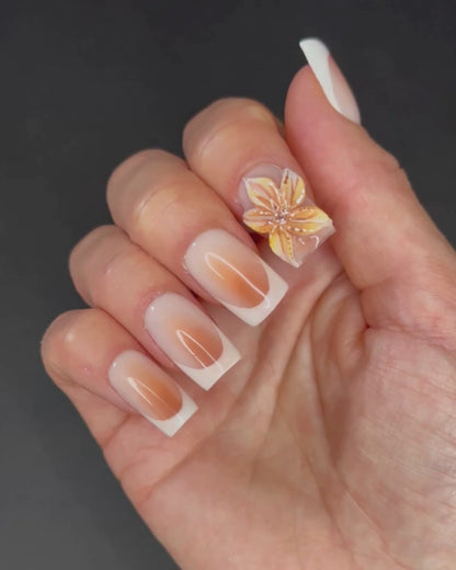 Faux ongles réutilisables “ SERAPHINE”